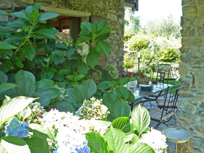 Villa Erica Con Piscina Privata Sul Lago Di Como Colico Buitenkant foto